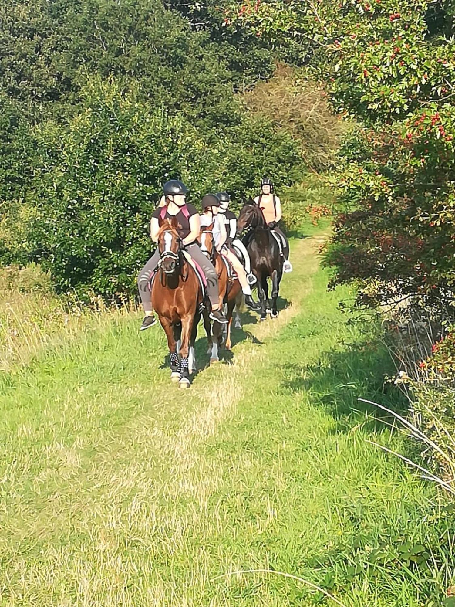 Ferienwohnung Reitanlage Baerenz Selk Luaran gambar